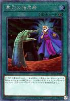 カードを買う/遊戯王/RARITY COLLECTIONシリーズ(並び順:発売日 カードを買う/遊戯王/RARITY COLLECTIONシリーズ(並び順:発売日
