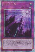 【遊戯王】QCSE◇影依の偽典