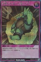 【遊戯王ＲＤ】シークレットレア◇酢酸のたまった落とし穴