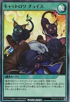 【遊戯王ＲＤ】スーパーレア◇キャットロワ　チョイス