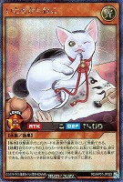【遊戯王ＲＤ】シークレットレア◇いとをかしねこ