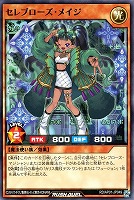 【遊戯王RD】ノーマル◇セレブローズ・メイジ