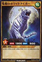 隻眼のホワイトタイガー