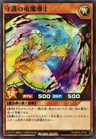 守護の竜魔導士