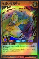 守護の竜魔導士