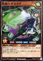 陰陽士サカカゼ