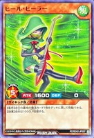 ヒール・ヒーラー