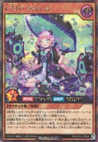 【遊戯王RD】シークレットレア◇CAN-Melo:D