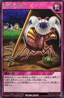【遊戯王ＲＤ】レア◇狂暴と共謀