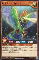 【遊戯王RD】ノーマル◇ルミナス・パロット