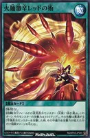 【遊戯王RD】ノーマル◇火麺激辛レッドの術