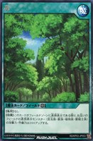 【遊戯王ＲＤ】レア◇森