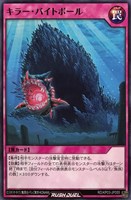【遊戯王ＲＤ】ノーマル◇キラー・バイトボール