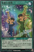 【遊戯王RD】ノーマル◇楽姫の息吹