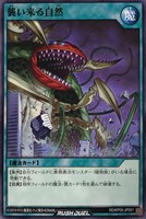 【遊戯王RD】ノーマル◇襲い来る自然