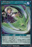 【遊戯王RD】レア◇鳥呪戦術