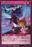 【遊戯王RD】レア◇花牙踏み