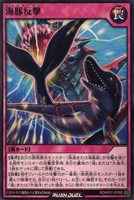 【遊戯王RD】ノーマル◇海豚反撃