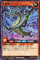 【遊戯王RD】ノーマル◇狂食蟲マティレス