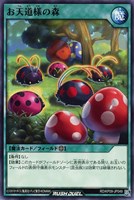 【遊戯王RD】ノーマル◇お天道様の森