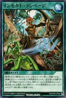 【遊戯王RD】ノーマル◇インセクト・ランページ