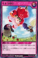 【遊戯王RD】ノーマルレア◇イチゴ狩り