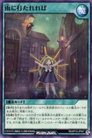 【遊戯王RD】ノーマル◇雨に打たれれば
