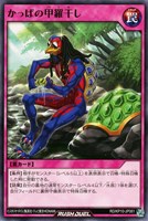 【遊戯王RD】ノーマル◇かっぱの甲羅干し