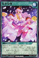 【遊戯王ＲＤ】ノーマル◇花牙分身
