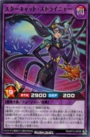 【遊戯王ＲＤ】ノーマル◇スターキャット・ストライニャー