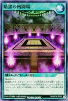【遊戯王ＲＤ】ノーマル◇暗黒の格闘場