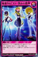 【遊戯王ＲＤ】ノーマル◇秘密ＦＩＬＥ３３－怨みの散華