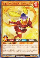 【遊戯王RD】レア◇サイバースパイス・ターメリック