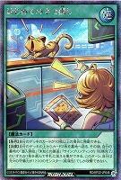 【遊戯王RD】シークレットレア◇はじめてのネコ探し