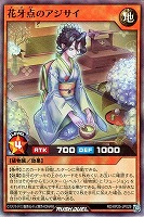 花牙点のアジサイ