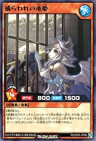 捕らわれの竜姫