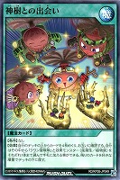 神樹との出会い