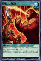 【遊戯王RD】ノーマル◇野獣の激怒