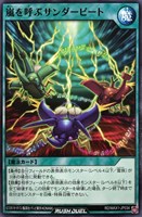 【遊戯王RD】ノーマル◇嵐を呼ぶサンダービート