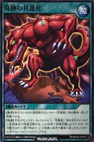 【遊戯王ＲＤ】ノーマル◇奇跡の共進化