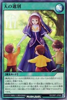 【遊戯王RD】スーパーレア◇天の選別