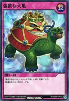 【遊戯王RD】ノーマル◇強欲な大亀