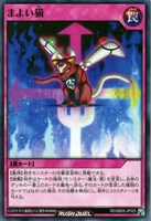 【遊戯王RD】ノーマル◇まよい猫