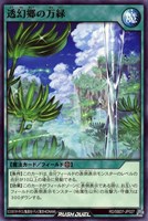 【遊戯王ＲＤ】ノーマル◇透幻郷の万緑