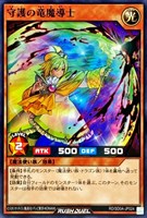 守護の竜魔導士