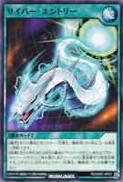 サイバー・エントリー