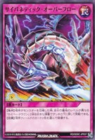 サイバネティック・オーバーフロー