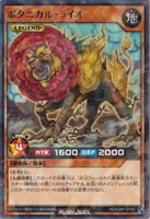 ボタニカル・ライオ