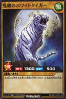 【遊戯王ＲＤ】ノーマル◇隻眼のホワイトタイガー