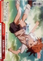 【ヴァイス】CR◇高速道路の戦い